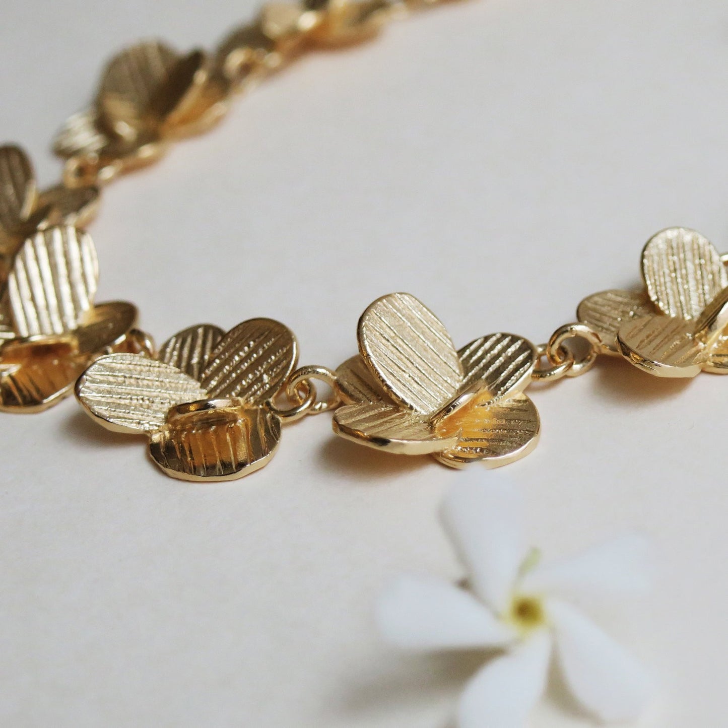 COLLAR PAMPALONIA 03