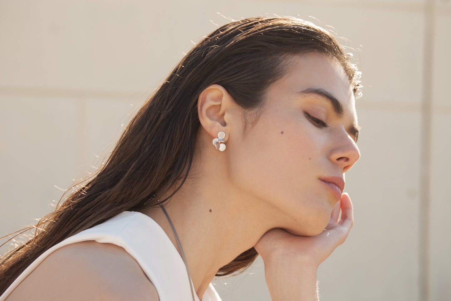 AROS ARAI PLATA 01