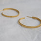 AROS ESTERGOLD 01