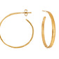 AROS ESTERGOLD 01