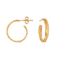 AROS ESTERGOLD 02