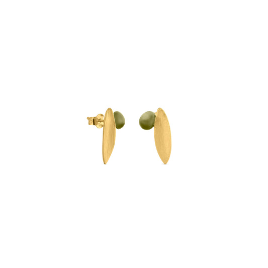 AROS OLIVIA 01