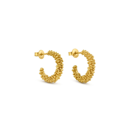 AROS STARDUST ORO 02