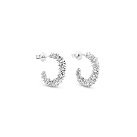 AROS STARDUST PLATA 02