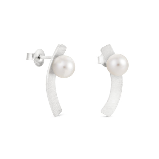 AROS ALEXANDER PLATA 01