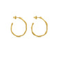 AROS CLARA ORO 01
