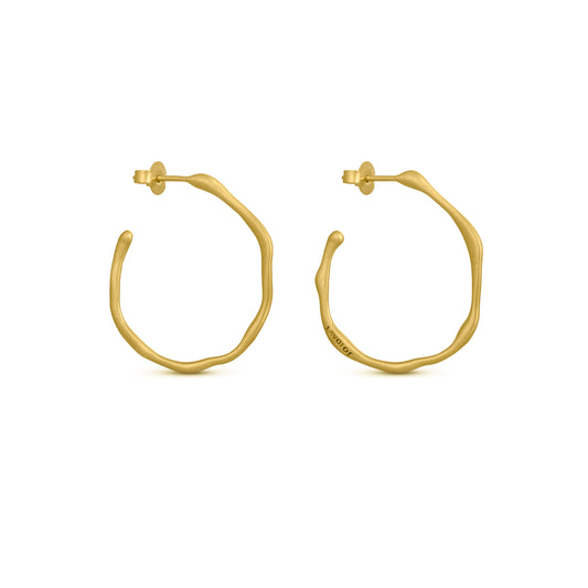 AROS CLARA ORO 01