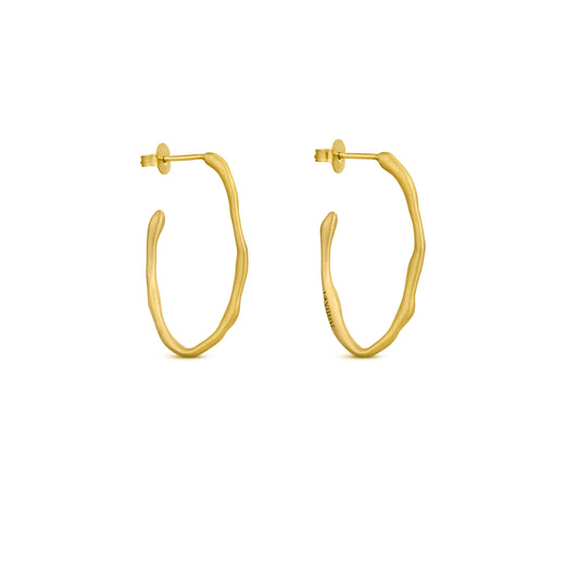 AROS CLARA ORO 03