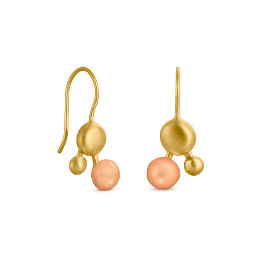 AROS CODOLS ORO 02