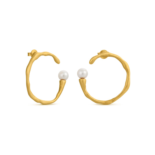 AROS ECLAT 01