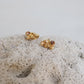 AROS ARENA ORO 01