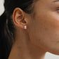 AROS ARENA PLATA 01
