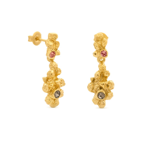 AROS ARENA ORO 02