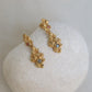 AROS ARENA ORO 02