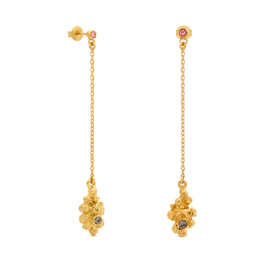 AROS ARENA ORO 04