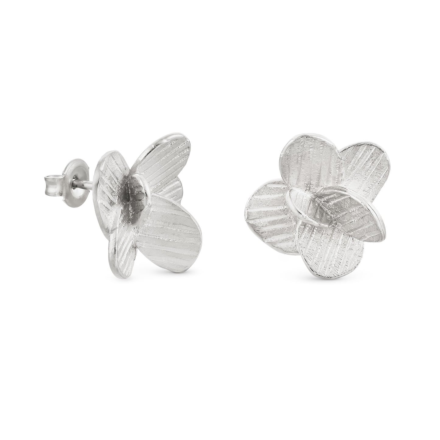 ARO PAMPALONIA PLATA 01