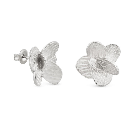 ARO PAMPALONIA PLATA 01