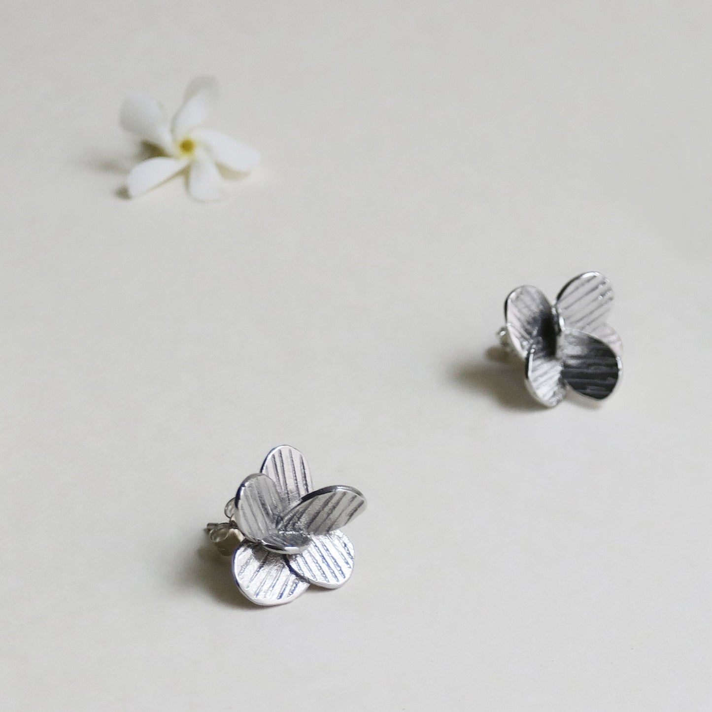 ARO PAMPALONIA PLATA 01