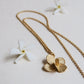 COLLAR PAMPALONIA 01