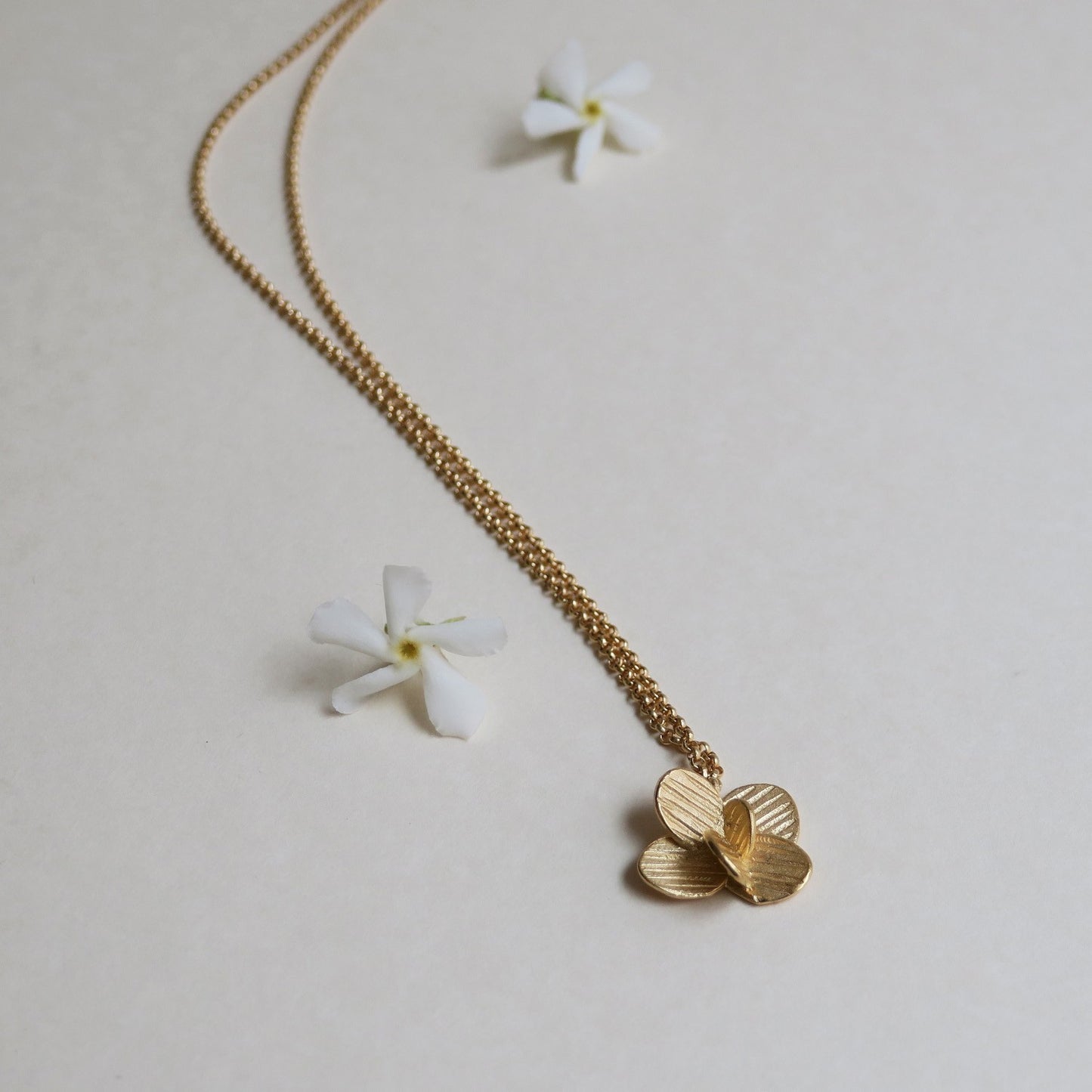 COLLAR PAMPALONIA 01