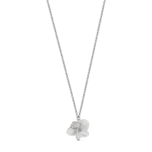 COLLAR PAMPALONIA PLATA 01