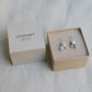 AROS CODOLS PLATA 02