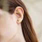 AROS OLIVIA 01