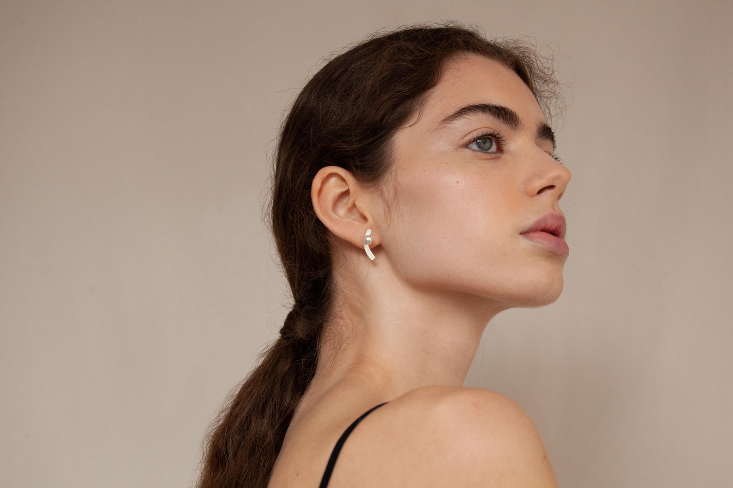 AROS ALEXANDER PLATA 01