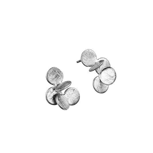 AROS ARAI PLATA 01